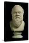 Portrait Bust of Socrates, Copy of Greek Early 4th Century BC Original-null-Framed Stretched Canvas