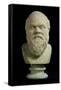 Portrait Bust of Socrates, Copy of Greek Early 4th Century BC Original-null-Framed Stretched Canvas