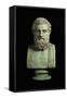 Portrait Bust of Sophocles, Copy of Greek 4th Century BC Original-null-Framed Stretched Canvas