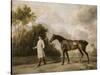 Portrait d'Assheton, 1er Vicomte Curzon, avec sa jument Maria-George Stubbs-Stretched Canvas