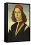 Portrait d'un jeune homme-Domenico Ghirlandaio-Framed Stretched Canvas