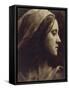 Portrait de Fanny Saint John-Julia Margaret Cameron-Framed Stretched Canvas