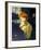 Portrait de Femme after Toulouse-Lautrec-Laurent Salinas-Framed Collectable Print