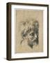 Portrait De Jeune Apotre  (Head of Young Apostle) Charbon Sur Papier De Raphael (Raffaello Sanzio)-Raphael (1483-1520)-Framed Giclee Print