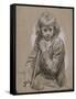 Portrait de jeune garçon, assis de face, s'appuyant sur un bâton-François Louis Joseph Watteau-Framed Stretched Canvas