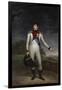 Portrait de Louis Bonaparte, roi d'Hollande en uniforme de colonel de la cavalerie hollandaise-Charles Howard Hodges-Framed Giclee Print