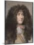 Portrait de Louis XIV-Charles Le Brun-Mounted Giclee Print