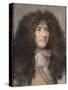 Portrait de Louis XIV-Charles Le Brun-Stretched Canvas