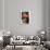 Portrait de Madame Boucard-Tamara de Lempicka-Premium Giclee Print displayed on a wall