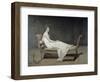 Portrait de Madame Recamier-Jacques-Louis David-Framed Giclee Print