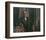 Portrait de Monsieur Hasen-Félix Vallotton-Framed Giclee Print