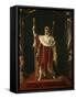 Portrait de Napoléon Ier en costume impérial-Jacques-Louis David-Framed Stretched Canvas