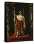 Portrait de Napoléon Ier en costume impérial-Jacques-Louis David-Framed Stretched Canvas