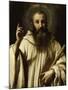 Portrait de Saint Bernard, abbé de Clairvaux (1091-1153)-Andrea Sacchi-Mounted Giclee Print