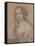 Portrait Drawing of a Lady-John Greenhill-Framed Stretched Canvas