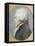 Portrait en buste de profil de Maximilien de Robespierre représenté en costume de député du-Joseph Boze-Framed Stretched Canvas