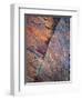 Portrait Etched In Stone-Doug Chinnery-Framed Giclee Print