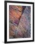 Portrait Etched In Stone-Doug Chinnery-Framed Giclee Print