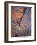 Portrait Etched In Stone-Doug Chinnery-Framed Premium Giclee Print