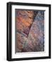 Portrait Etched In Stone-Doug Chinnery-Framed Premium Giclee Print