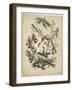 Portrait from Galerie Fashionable, C. 1830-Achille Deveria-Framed Giclee Print