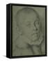 Portrait-Head of a Young Boy-Annibale Carracci-Framed Stretched Canvas