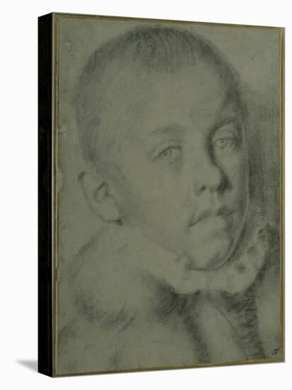 Portrait-Head of a Young Boy-Annibale Carracci-Stretched Canvas