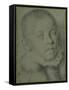 Portrait-Head of a Young Boy-Annibale Carracci-Framed Stretched Canvas