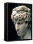 Portrait Head of Antinous Wearing the Wreath of Dionysus-null-Framed Stretched Canvas