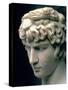 Portrait Head of Antinous Wearing the Wreath of Dionysus-null-Stretched Canvas