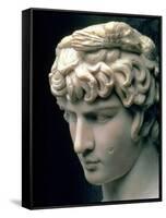 Portrait Head of Antinous Wearing the Wreath of Dionysus-null-Framed Stretched Canvas