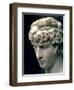 Portrait Head of Antinous Wearing the Wreath of Dionysus-null-Framed Giclee Print