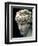 Portrait Head of Antinous Wearing the Wreath of Dionysus-null-Framed Giclee Print