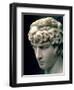 Portrait Head of Antinous Wearing the Wreath of Dionysus-null-Framed Giclee Print