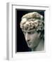 Portrait Head of Antinous Wearing the Wreath of Dionysus-null-Framed Giclee Print