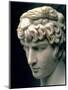 Portrait Head of Antinous Wearing the Wreath of Dionysus-null-Mounted Giclee Print