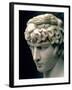 Portrait Head of Antinous Wearing the Wreath of Dionysus-null-Framed Giclee Print