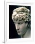 Portrait Head of Antinous Wearing the Wreath of Dionysus-null-Framed Giclee Print