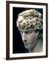 Portrait Head of Antinous Wearing the Wreath of Dionysus-null-Framed Giclee Print