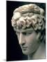 Portrait Head of Antinous Wearing the Wreath of Dionysus-null-Mounted Giclee Print