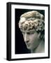 Portrait Head of Antinous Wearing the Wreath of Dionysus-null-Framed Giclee Print