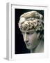 Portrait Head of Antinous Wearing the Wreath of Dionysus-null-Framed Giclee Print