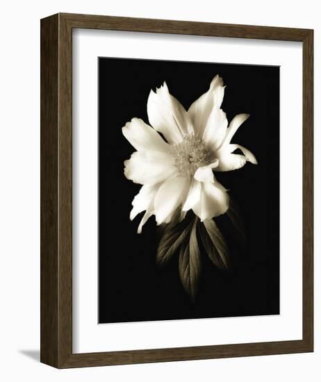 Portrait in White I-John Rehner-Framed Art Print