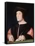 Portrait of a Banker, 1522-Jean Clouet-Framed Stretched Canvas