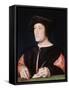 Portrait of a Banker, 1522-Jean Clouet-Framed Stretched Canvas