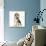 Portrait of a Beagle Puppy Sitting-Mark Taylor-Photographic Print displayed on a wall