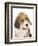 Portrait of a Beagle Puppy-Mark Taylor-Framed Photographic Print