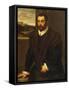Portrait of a Bearded Gentleman Wearing a Fur-Trimmed Black Costume-Domenico Tintoretto-Framed Stretched Canvas