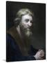 Portrait of a Bearded Man, 19th Century-Richard James Lane-Stretched Canvas