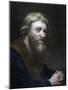 Portrait of a Bearded Man, 19th Century-Richard James Lane-Mounted Giclee Print